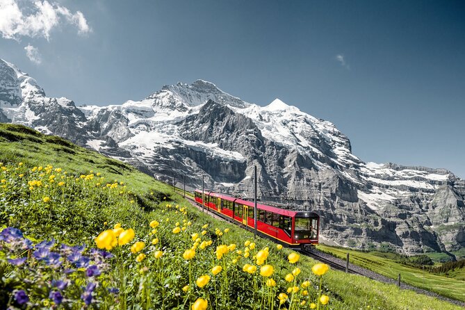 Private trip from Zurich to Jungfraujoch (The Top of Europe) - Should you book this private Jungfraujoch trip from Zurich?