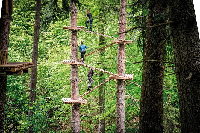 Ropes Park Interlaken - Safety first: harness fit, instruction, and how the day starts