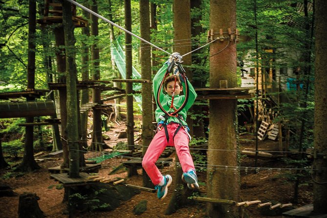 Ropes Park Interlaken - The real flow of your 2.5 to 3 hours on course