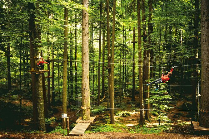 Ropes Park Interlaken - Height rules and course access for kids