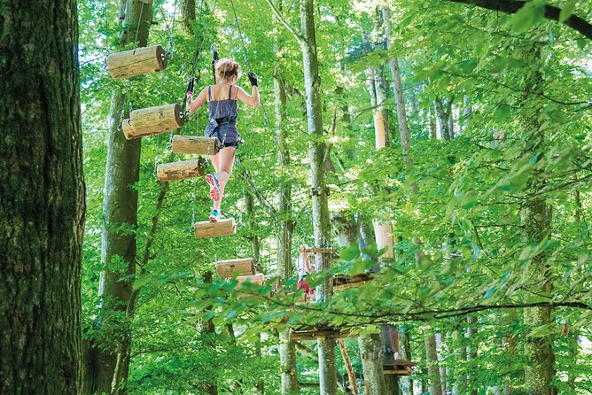 Ropes Park Interlaken - Nine rope courses, 23 meters up: what you actually climb