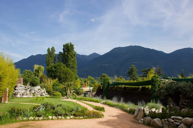 Skip the Line: Falconeria Locarno Ticket - Who this experience fits best in your itinerary