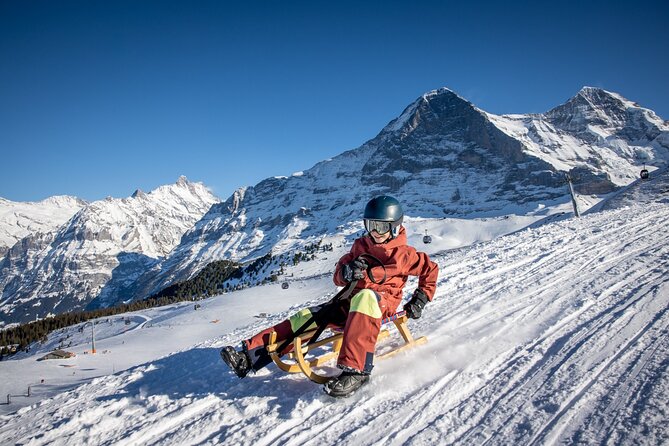 Sledding Cheese Fondue, Chocolate - Should You Book This Grindelwald Sledding and Fondue Tour?