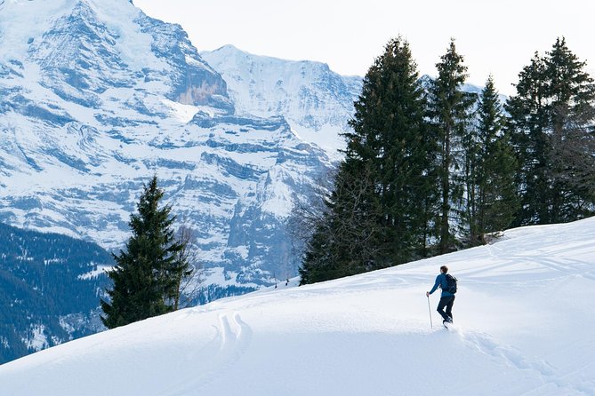 Snowshoe Adventure in the Swiss Alps - Key highlights to know before you go