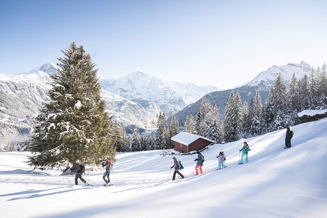 Snowshoe Adventure in the Swiss Alps - Why this Interlaken snowshoe feels calmer than the ski slopes