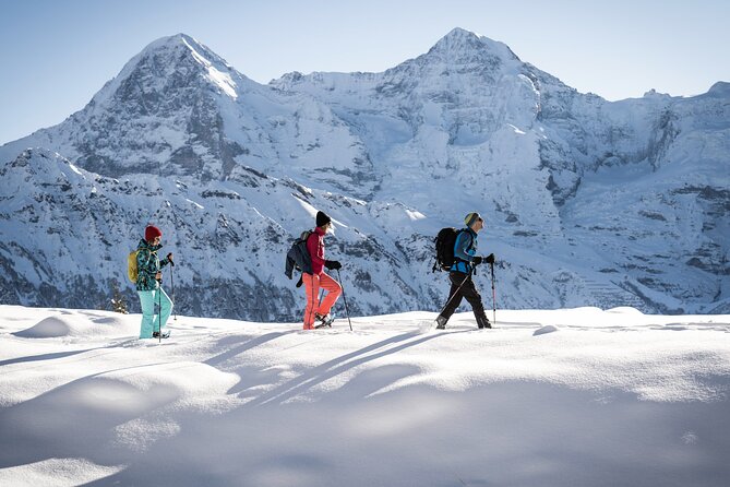 Snowshoe Adventure in the Swiss Alps - Equipment details that matter more than you think