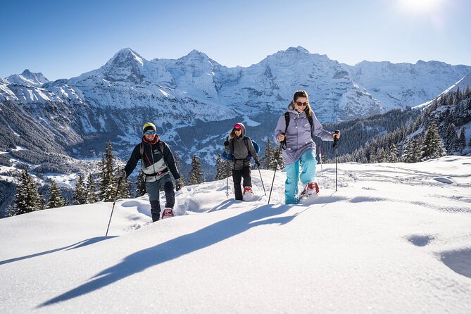 Snowshoe Adventure in the Swiss Alps - What you get for $130.45: gear, guide, snacks, and transport
