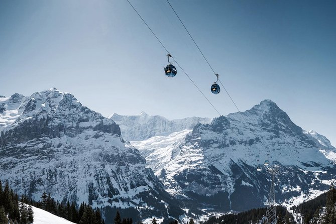 Swiss Alps: Interlaken and Grindelwald Day Trip from Zurich - Price and value: what $130.45 really buys, plus the likely extras