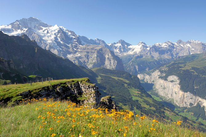 Swiss Alps: Interlaken and Grindelwald Day Trip from Zurich - Day trip logistics that matter: timing, walking, and being ready for long hours