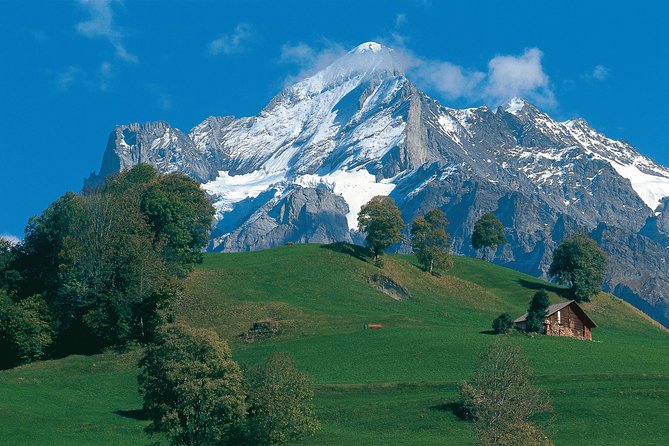 Swiss Alps: Interlaken and Grindelwald Day Trip from Zurich - Interlaken in 2 hours: how to make the most of Jungfrau Park and Lake Thun