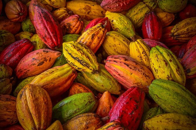 Swiss Chocolate Tasting Experience | Basel - Price and Value in Basel: $25 for an Expert-Led Flight