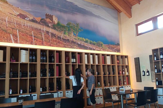 Swiss Vineyard Wine Tasting Tour in Vaud - Stop 4 in Morges: another guided tasting, more comparisons