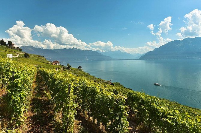 Swiss Wine Tasting at Lavaux Vineyards: Private Trip from Geneva - Lavaux Terraces: Why This Wine Day Feels Like More Than Drinking