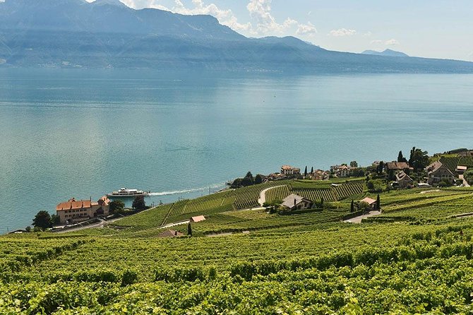 Swiss Wine Tasting at Lavaux Vineyards: Private Trip from Geneva - The Lake Geneva Drive: Scenic Time Without the Navigation Headache