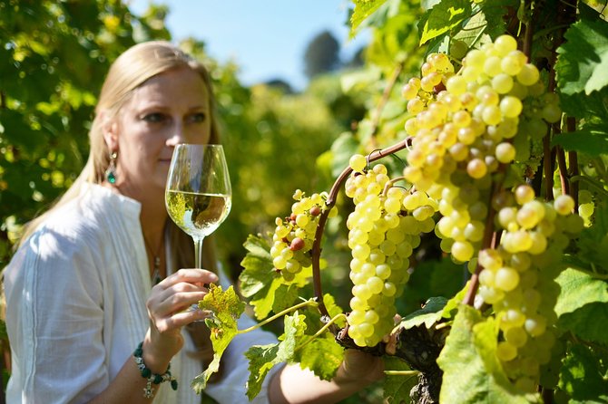 Swiss Wine Tasting at Lavaux Vineyards: Private Trip from Geneva - Price and Value: When $1,638.08 Per Group Makes Sense