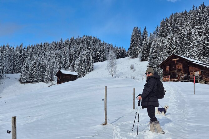 The best Sunset hike with Cheese Fondue - Key Highlights You Should Care About