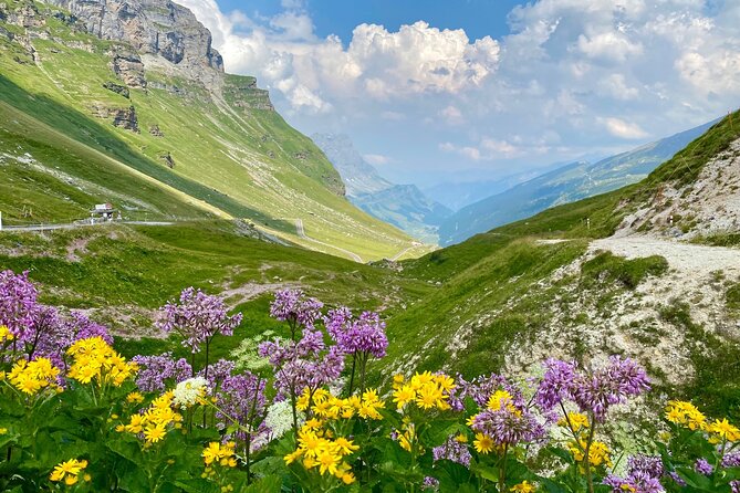 The natural wonders of Switzerland: private tour from Basel (1 day) - Klausenpass UNESCO waterfall walk: the photo stop that takes only minutes