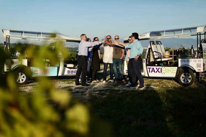 The Private Tuk Tuk Tour with one of The Best Fondues in Geneva! - Parc des Bastions and the Reformation Monument: Calvin’s footprint in stone