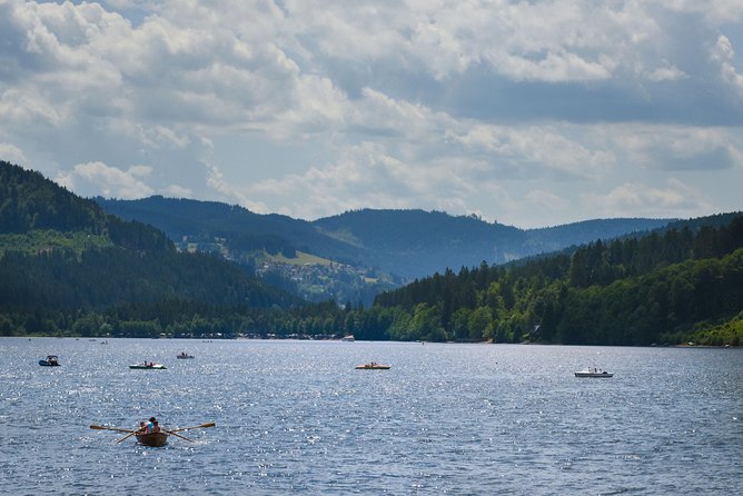 Trip from Zurich to Germany's Black Forest & Swiss Rhine Falls - Why this Zurich day trip feels like a plan, not a scramble