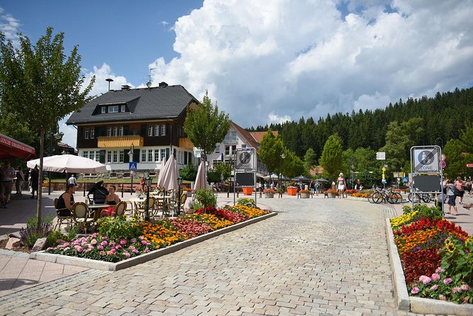 Trip from Zurich to Germany's Black Forest & Swiss Rhine Falls - What “private tour” changes for your comfort
