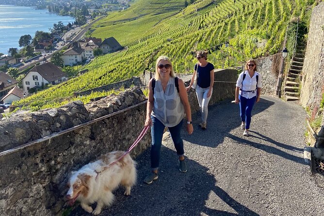 Vine Stories: Lavaux & Lutry wine walk - Quick highlights