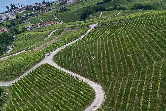 Vine Stories: Lavaux & Lutry wine walk - Price and value: what you are really paying for at $309.10