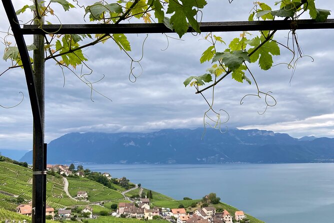 Vine Stories: Lavaux & Lutry wine walk - The Grandvaux walk: vineyard paths, stories, and real time in the vines