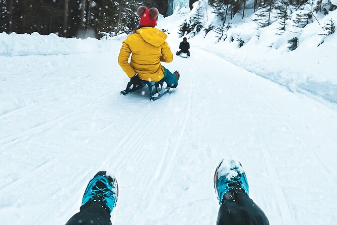 Winter Alpine Adventure - Key Highlights You Actually Feel