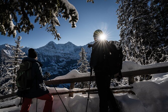Winter Alpine Adventure - Getting There in Interlaken, Then Up to the Alps
