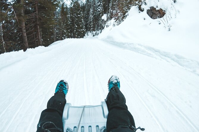 Winter Alpine Adventure - The Sled Ride to Isenfluh (and the Mürren Plan B)