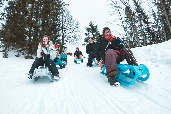 Winter Alpine Adventure - Price and Time: Is $226.97 Worth It?