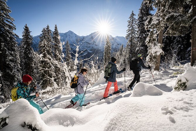 Winter Alpine Adventure - Sulwald by Gondola, and Why the View Matters