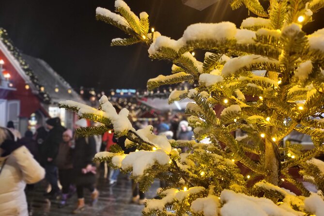 Zurich Christmas Market Tour - Who this Zurich Christmas Market Tour is best for