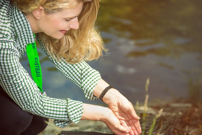 Zurich Foxtrail Spartacus - Shipping-container viewpoint, and why that stop is clever
