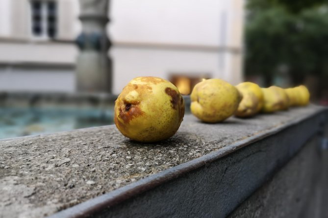 Zürich Historic District Tour - Price and value: what you pay for in 2 hours