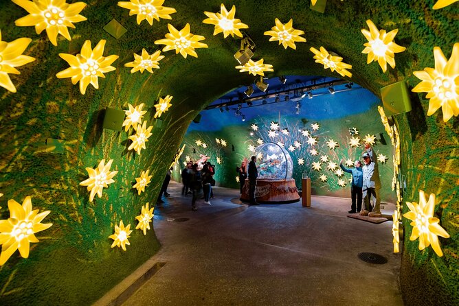 Zurich: Small group tour to Jungfrau, Grindelwald & Interlaken - Getting the most from Interlaken’s free time (45 minutes)