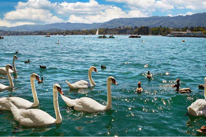 Zurich with Cruise and Lindt Home of Chocolate Private tour - Price and Value: Why This Costs What It Costs